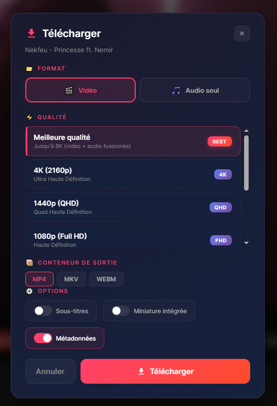 YT Downloader